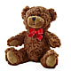 Adorable Plush Bear – A & A FLORIST, Chester SC
