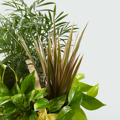 French Garden – A & A FLORIST, Chester SC