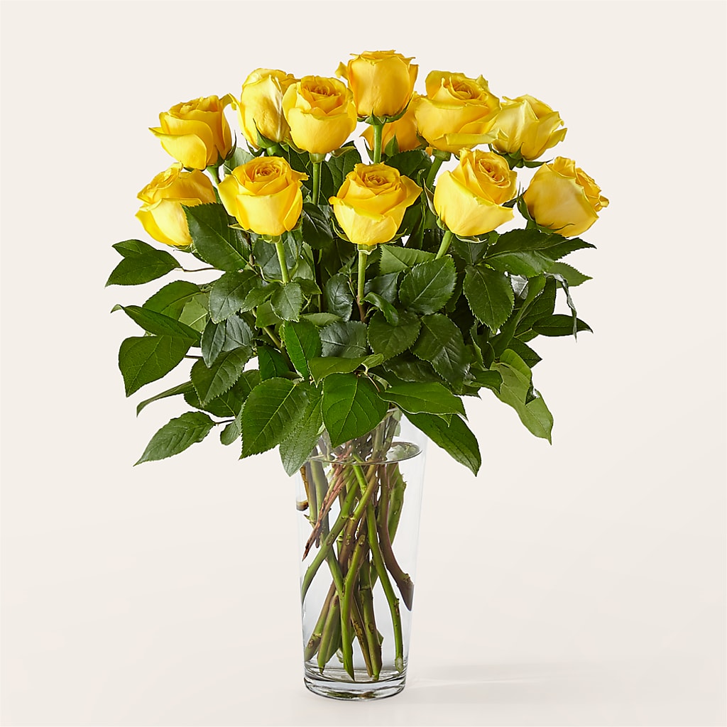 Long Stem Yellow Rose Bouquet – A & A FLORIST, Chester SC