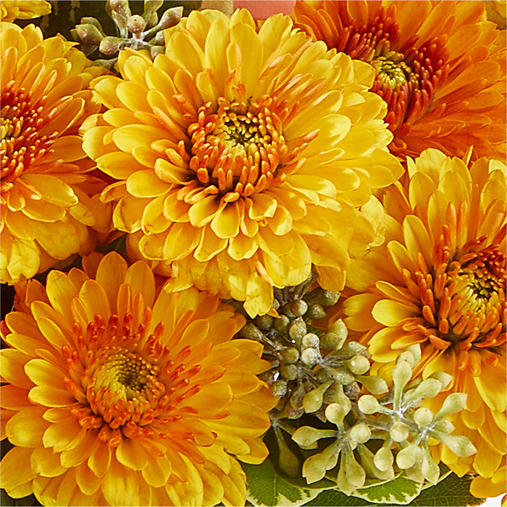 Peachy Pumpkin – A & A FLORIST, Chester SC