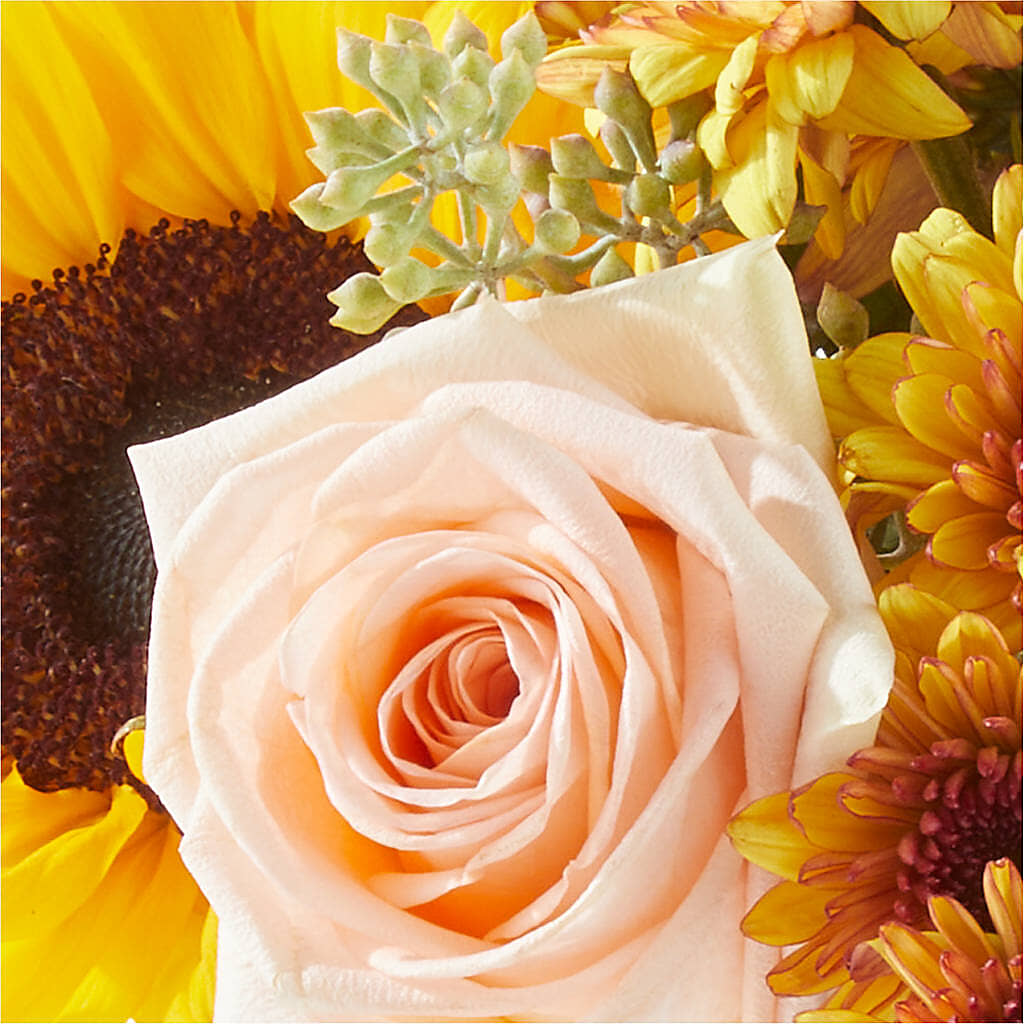 Pumpkin to Talk About Bouquet – A & A FLORIST, Chester SC