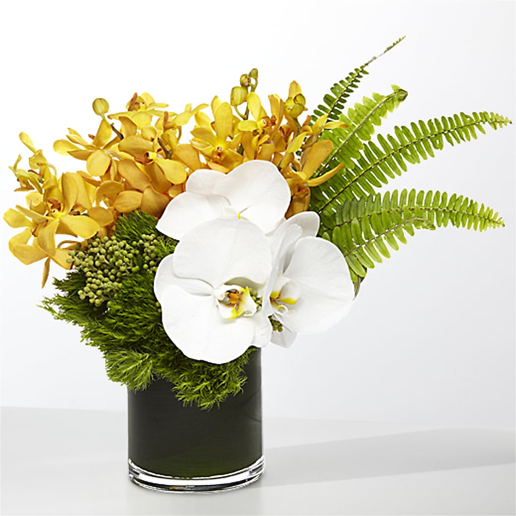 The Tropics – A & A FLORIST, Chester SC