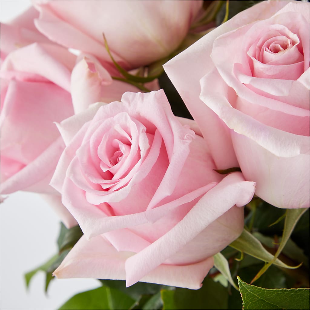 Picture Perfect Pink Rose Bouquet – A & A FLORIST, Chester SC