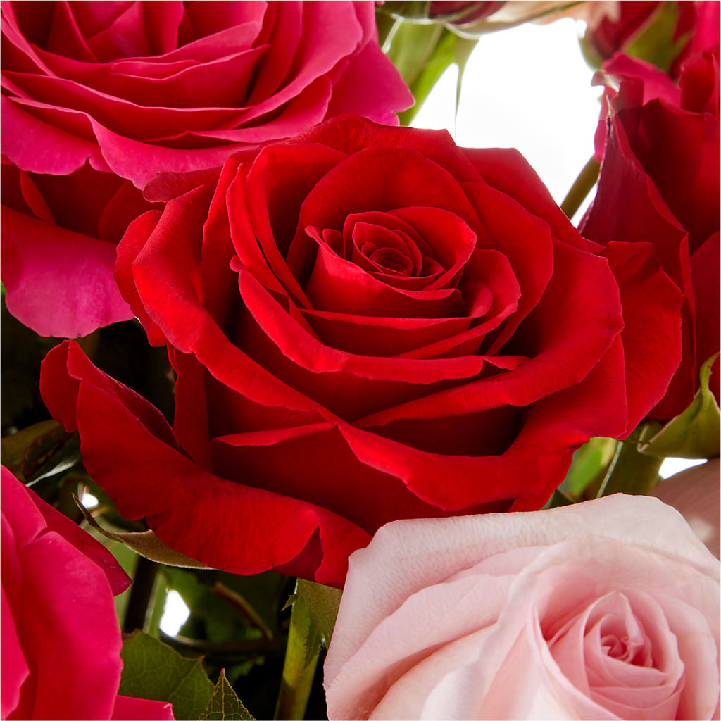 Love Notes Rose Bouquet – A & A FLORIST, Chester SC