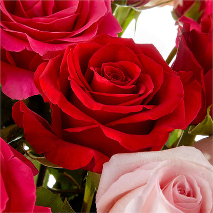 Love Notes Rose Bouquet – A & A FLORIST, Chester SC