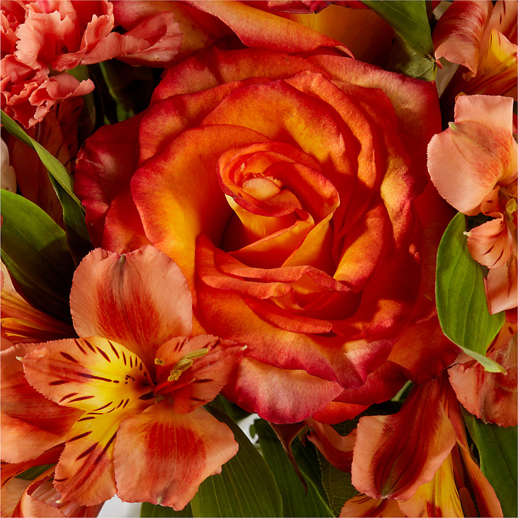 Apricot Glow Bouquet – A & A FLORIST, Chester SC
