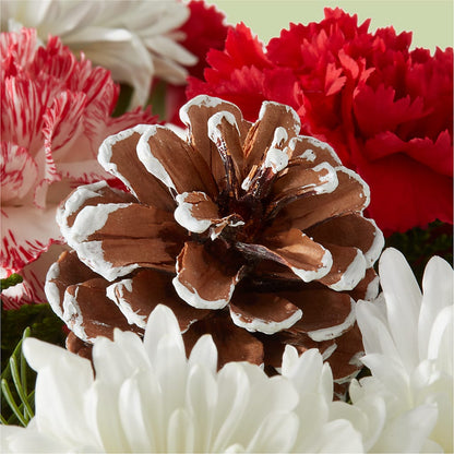 Candy Cane Lane Bouquet – A & A FLORIST, Chester SC