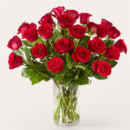 The One Red Rose Bouquet – A & A FLORIST, Chester SC